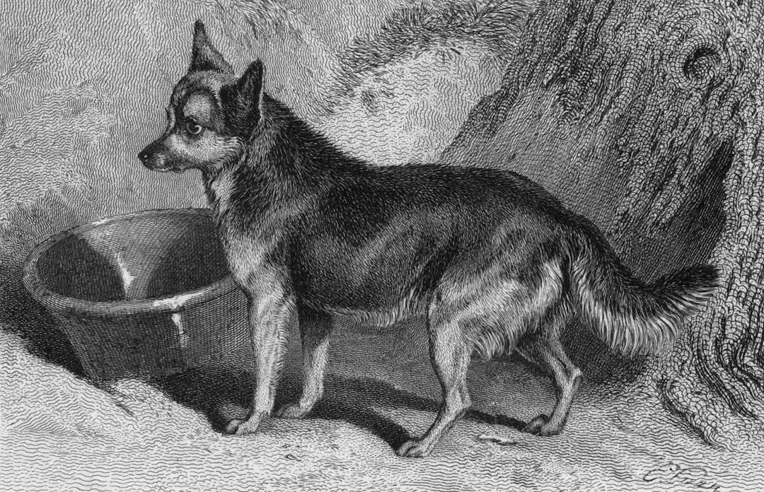 Clock and timestamp illustration